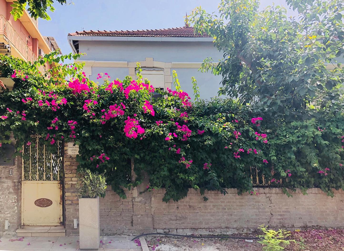 Garden Suites Corfu  Екстериор снимка